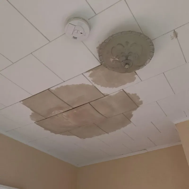 Ceiling Water Damage Repair in Humboldt, KS